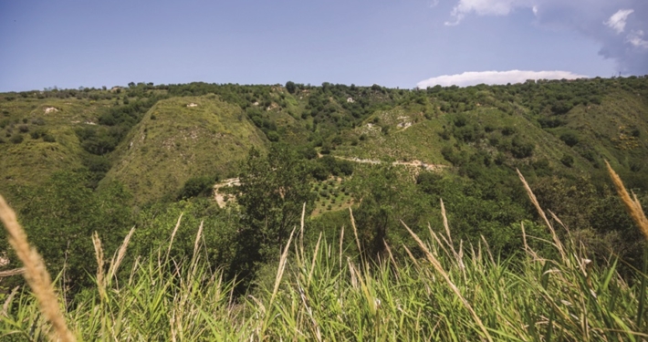 Trekking Capo Vaticano vicino Tropea