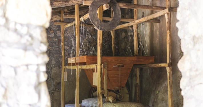 copia ridotta