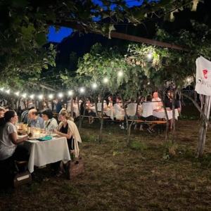 Cena esclusiva in vigna