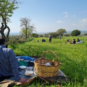 Pic-nic in campagna ( Monte Poro a 10 minuti da Tropea)