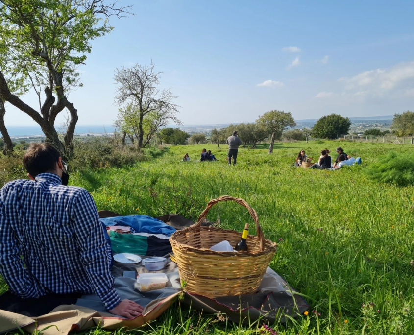 PIC-NIC-8
