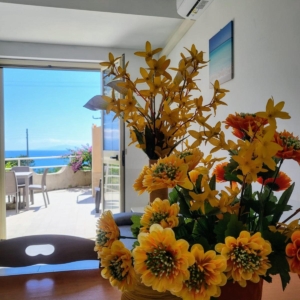 Apartment Capo Vaticano